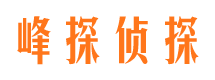 花垣市婚外情调查